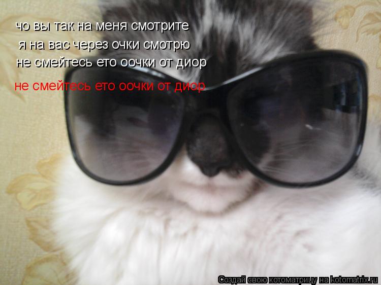 чо вы так на меня смотрите чо вы так на меня смотрите я на вас через очки смотрю не смейтесь ето оочк... Котоматрица: чо вы так на меня смотрите чо вы так на меня смотрите я на вас через очки смотрю не смейтесь ето оочки от диор не смейтесь ето оочки от диор