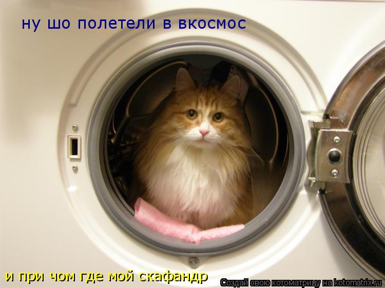 ну шо полетели в вкосмос и при чом где мой скафандр... Котоматрица: ну шо полетели в вкосмос и при чом где мой скафандр