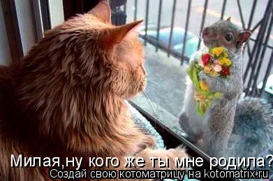 Милая,ну кого же ты мне родила?... Котоматрица: Милая,ну кого же ты мне родила?