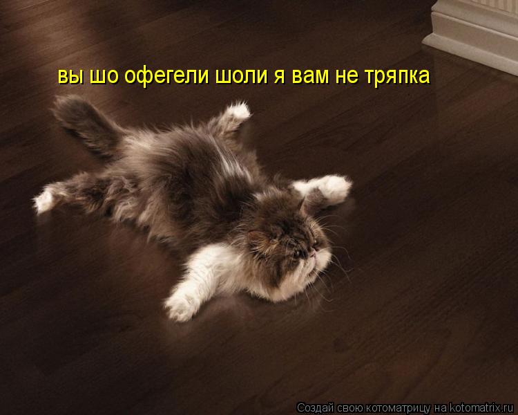 вы шо офегели шоли я вам не тряпка... Котоматрица: вы шо офегели шоли я вам не тряпка