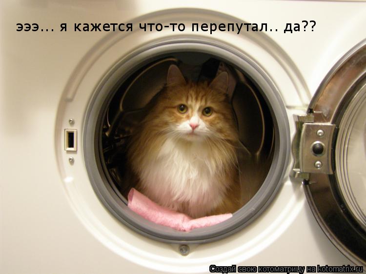 эээ... я кажется что-то перепутал.. да??... Котоматрица: эээ... я кажется что-то перепутал.. да??