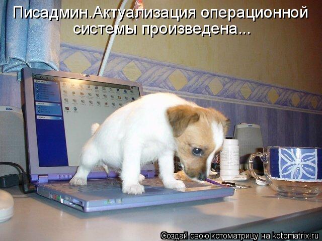 Писадмин.Актуализация операционной системы произведена...... Котоматрица: Писадмин.Актуализация операционной системы произведена...