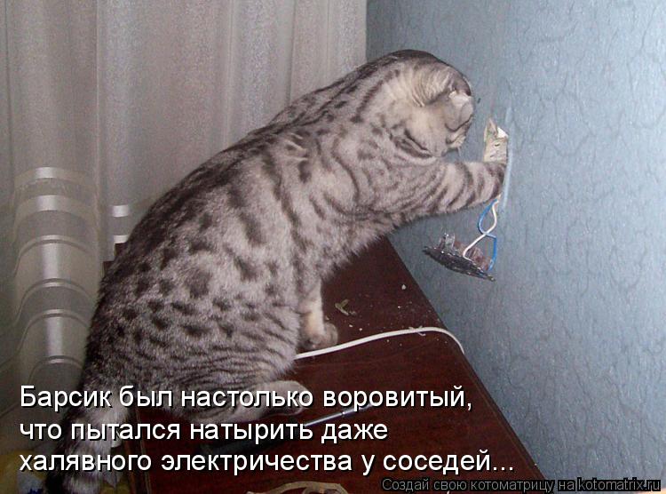 Барсик был настолько воровитый, что пытался натырить даже халявного электричества у соседей...... Котоматрица: Барсик был настолько воровитый, что пытался натырить даже халявного электричества у соседей...