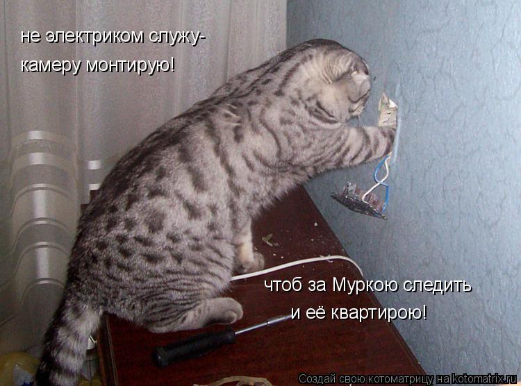 не электриком служу- камеру монтирую! чтоб за Муркою следить и её квартирою!... Котоматрица: не электриком служу- камеру монтирую! чтоб за Муркою следить и её квартирою!