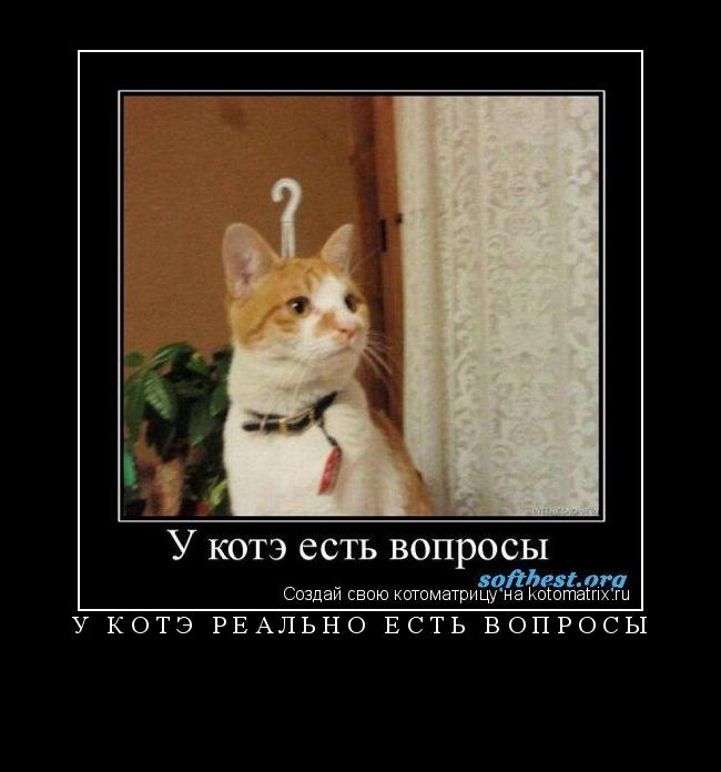 Котоматрица: у котэ реально есть вопросы 
