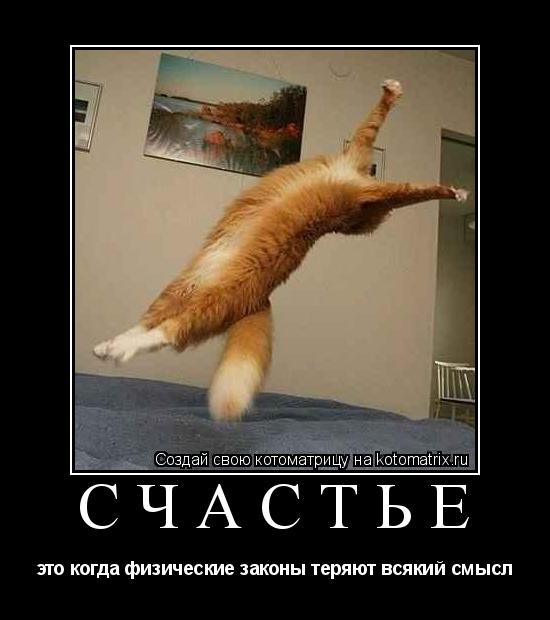 Котоматрица: Счастье это когда физические законы теряют всякий смысл