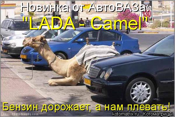 Котоматрица: Новинка от АвтоВАЗа:  "LADA - Camel" Бензин дорожает, а нам плевать!