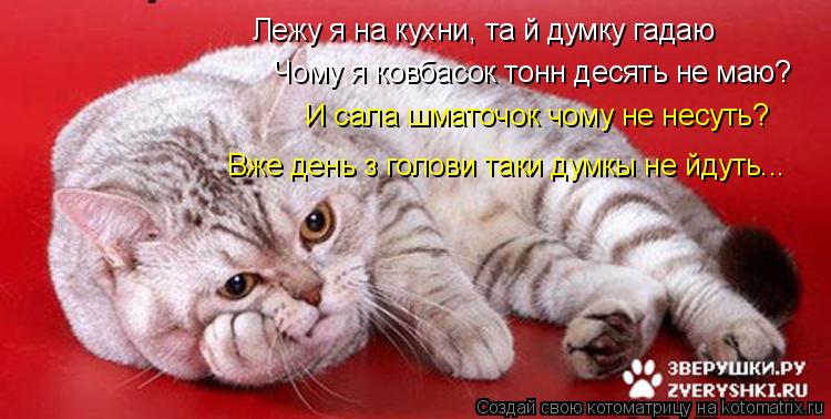 Котоматрица: Чому я ковбасок тонн десять не маю? Лежу я на кухни, та й думку гадаю И сала шматочок чому не несуть? Вже день з голови таки думкы не йдуть...