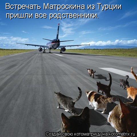 Котоматрица: Встречать Матроскина из Турции пришли все родственники.