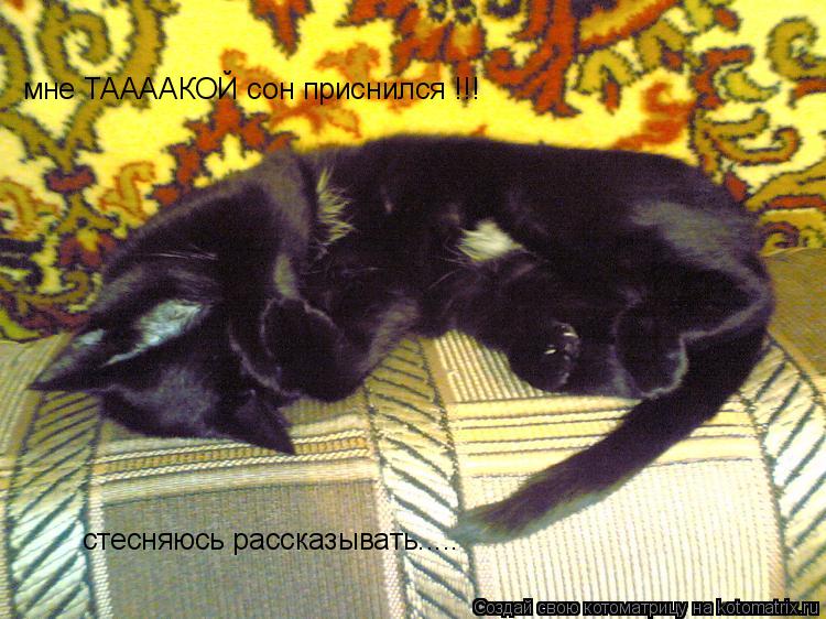 Котоматрица: мне ТААААКОЙ сон приснился !!! стесняюсь рассказывать.....