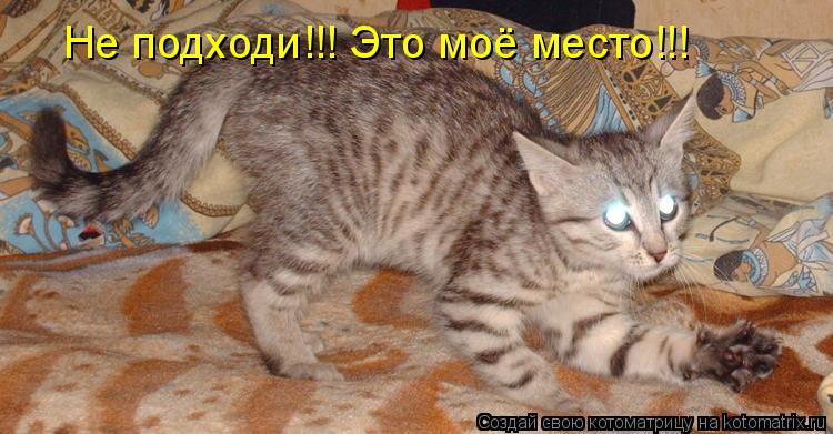 Котоматрица: Не подходи!!! Это моё место!!!