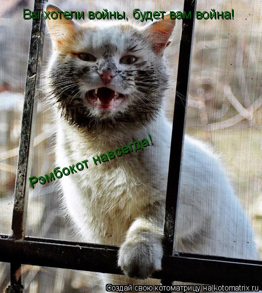 Котоматрица: Вы хотели войны, будет вам война! Рэмбокот навсегда!