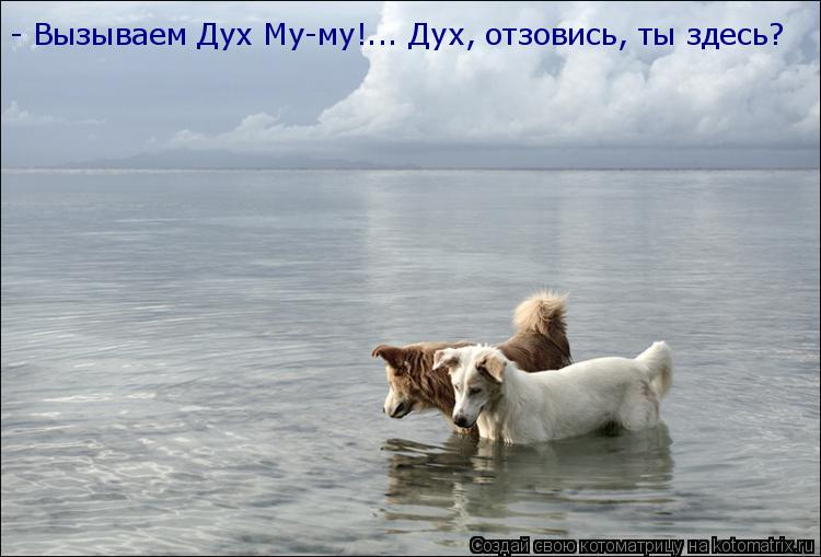 - Вызываем Дух Му-му!... Дух, отзовись, ты здесь?... Котоматрица: - Вызываем Дух Му-му!... Дух, отзовись, ты здесь?
