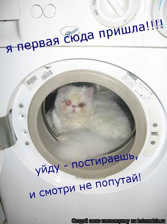 Котоматрица: я первая сюда пришла!!!! уйду - постираешь,  и смотри не попутай!