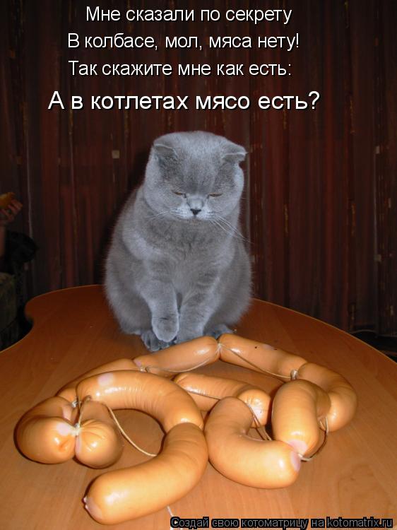 Котоматрица: Мне сказали по секрету Мне сказали по секрету В колбасе, мол, мяса нету! Так скажите мне как есть: А в котлетах мясо есть?