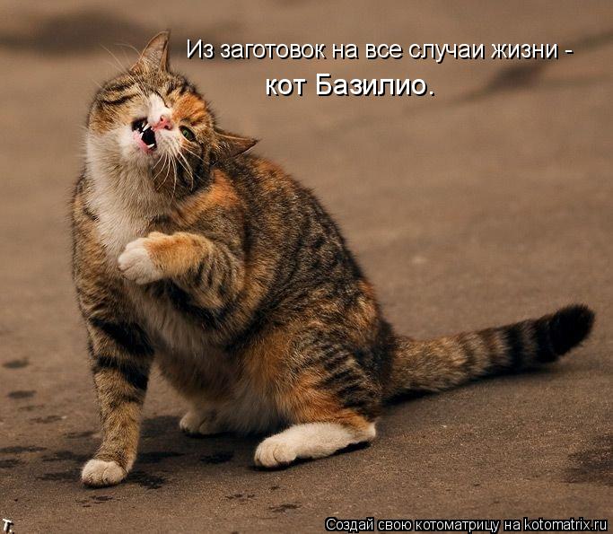 Из заготовок на все случаи жизни - кот Базилио.... Котоматрица: Из заготовок на все случаи жизни - кот Базилио.