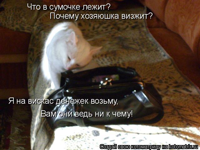 Что в сумочке лежит? Почему хозяюшка визжит? Я на вискас денежек возьму, Вам они ведь ни к чему!... Котоматрица: Что в сумочке лежит? Почему хозяюшка визжит? Я на вискас денежек возьму, Вам они ведь ни к чему!