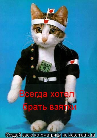 Всегда хотел брать взятки... Котоматрица: Всегда хотел брать взятки