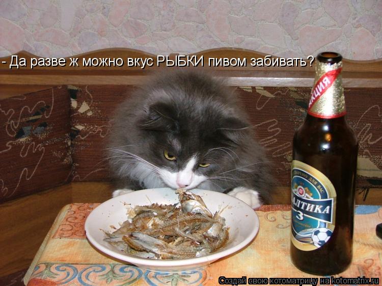 - Да разве ж можно вкус РЫБКИ пивом забивать?... Котоматрица: - Да разве ж можно вкус РЫБКИ пивом забивать?