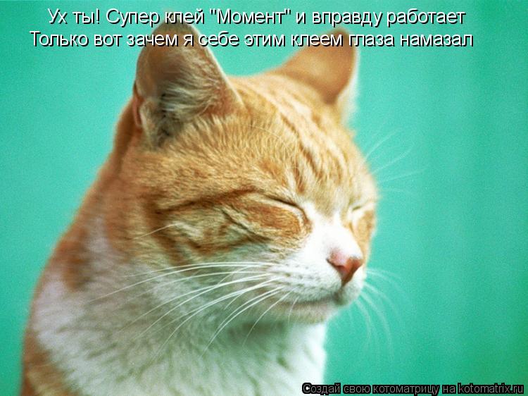 Ух ты! Супер клей "Момент" и вправду работает Только вот зачем я себе этим клеем глаза намазал... Котоматрица: Ух ты! Супер клей "Момент" и вправду работает Только вот зачем я себе этим клеем глаза намазал