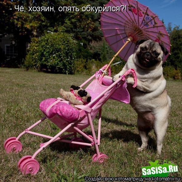- Чё, хозяин, опять обкурился?!... Котоматрица: - Чё, хозяин, опять обкурился?!