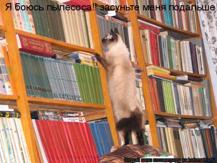 Я боюсь пылесоса!! засуньте меня подальше!!!!!!!... Котоматрица: Я боюсь пылесоса!! засуньте меня подальше!!!!!!!