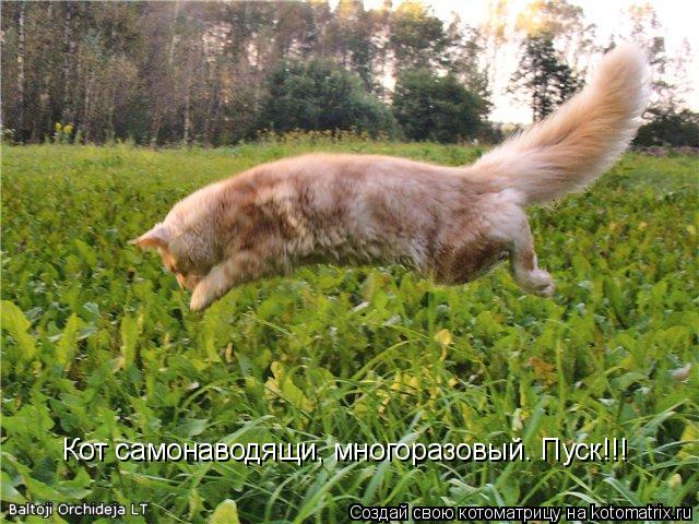 Кот самонаводящи, многоразовый. Пуск!!!... Котоматрица: Кот самонаводящи, многоразовый. Пуск!!!