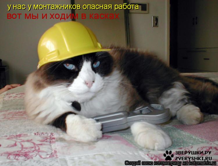 у нас у монтажников опасная работа вот мы и ходим в касках... Котоматрица: у нас у монтажников опасная работа вот мы и ходим в касках