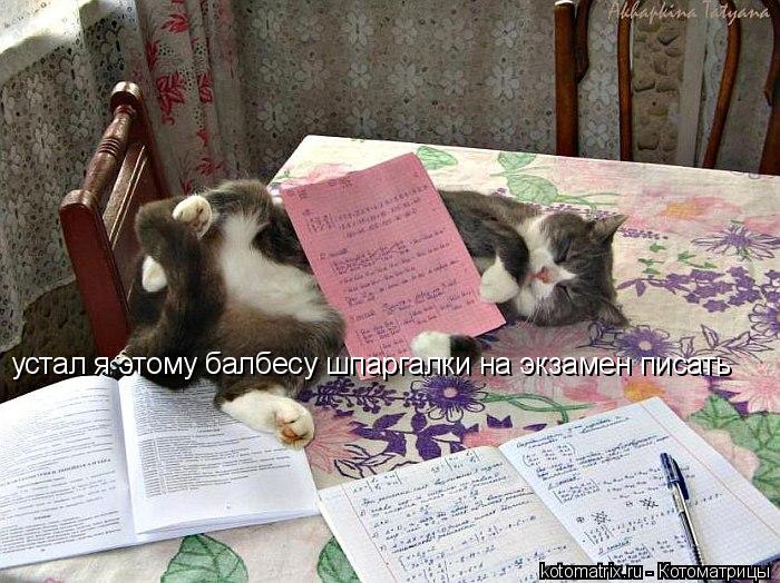 устал я этому балбесу шпаргалки на экзамен писать... Котоматрица: устал я этому балбесу шпаргалки на экзамен писать