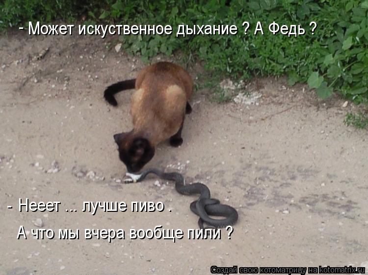 Может искуственное дыхание ? А Федь ? Нееет ... лучше пиво . А что мы вчера вообще пили ? - -... Котоматрица: Может искуственное дыхание ? А Федь ? Нееет ... лучше пиво . А что мы вчера вообще пили ? - -