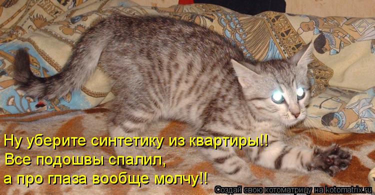 Ну уберите синтетику из квартиры!! Все подошвы спалил, а про глаза вообще молчу!!... Котоматрица: Ну уберите синтетику из квартиры!! Все подошвы спалил, а про глаза вообще молчу!!