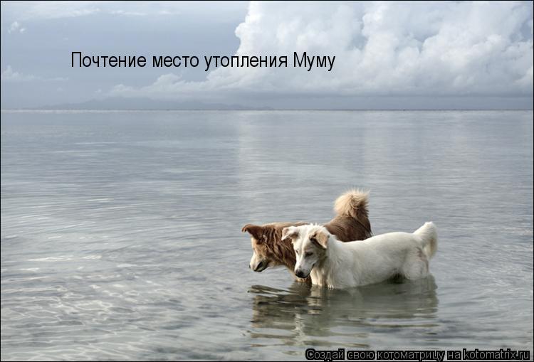 Почтение место утопления Муму... Котоматрица: Почтение место утопления Муму
