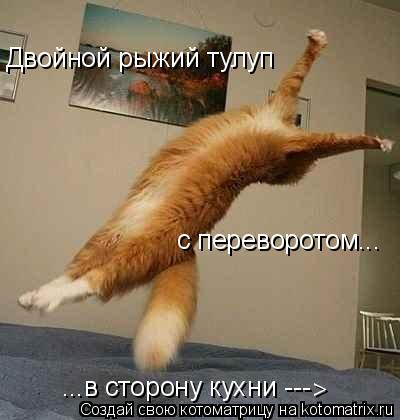 Двойной рыжий тулуп с переворотом... ...в сторону кухни --- >... Котоматрица: Двойной рыжий тулуп с переворотом... ...в сторону кухни --- >