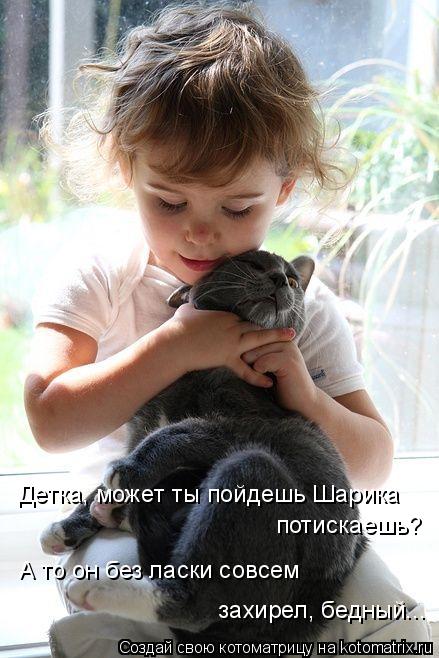 Детка, может ты пойдешь Шарика потискаешь? А то он без ласки совсем захирел, бедный...... Котоматрица: Детка, может ты пойдешь Шарика потискаешь? А то он без ласки совсем захирел, бедный...