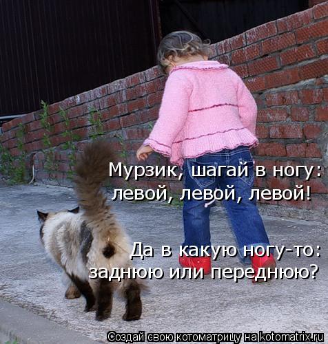 Котоматрица: Мурзик, шагай в ногу:  левой, левой, левой! Да в какую ногу-то:  заднюю или переднюю?
