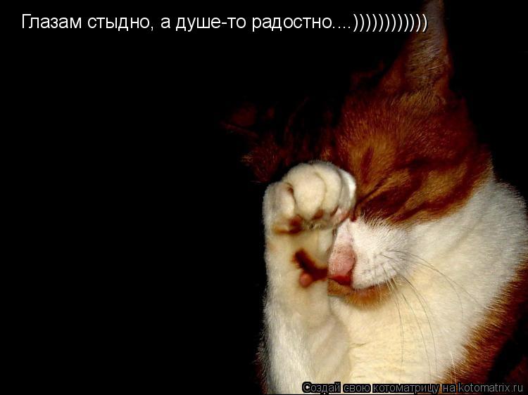 Глазам стыдно, а душе-то радостно....))))))))))))... Котоматрица: Глазам стыдно, а душе-то радостно....))))))))))))