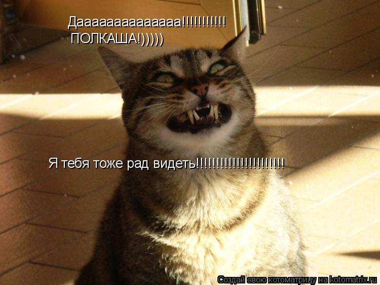 Даааааааааааааа!!!!!!!!!!! ПОЛКАША!))))) Я тебя тоже рад видеть!!!!!!!!!!!!!!!!!!!!!!... Котоматрица: Даааааааааааааа!!!!!!!!!!! ПОЛКАША!))))) Я тебя тоже рад видеть!!!!!!!!!!!!!!!!!!!!!!