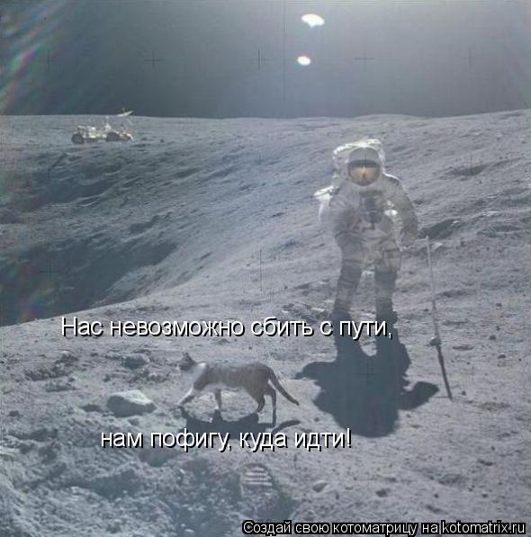 Нас невозможно сбить с пути, нам пофигу, куда идти!... Котоматрица: Нас невозможно сбить с пути, нам пофигу, куда идти!
