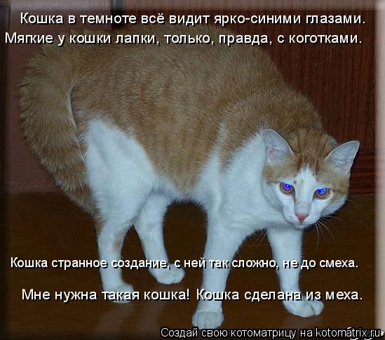 Мягкие у кошки лапки, только, правда, с коготками. Кошка странное создание, с ней так сложно, не до с... Котоматрица: Мягкие у кошки лапки, только, правда, с коготками. Кошка странное создание, с ней так сложно, не до смеха. Мне нужна такая кошка! Кошка сделана