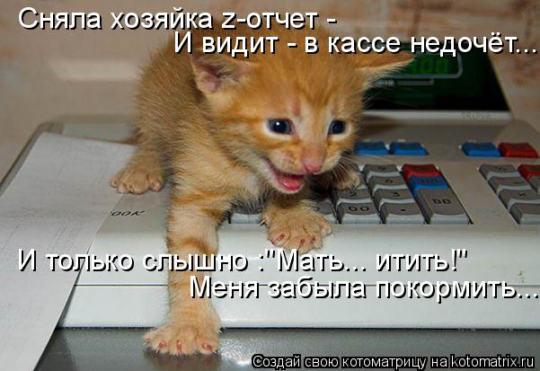 Котоматрица: Сняла хозяйка z-отчет -  И видит - в кассе недочёт... И только слышно :"Мать... итить!" Меня забыла покормить...