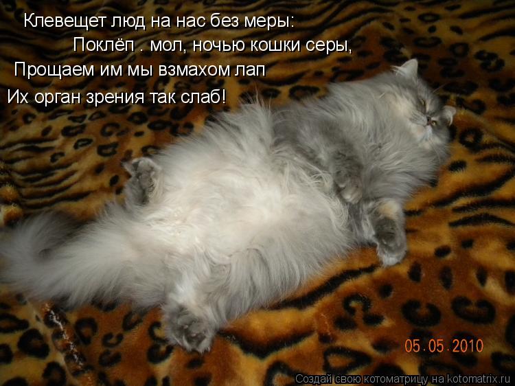 Котоматрица: Клевещет люд на нас без меры: Поклёп – мол, ночью кошки серы, Прощаем им мы взмахом лап Их орган зрения так слаб!