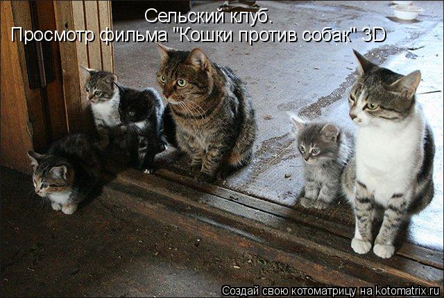 Котоматрица: Сельский клуб. Просмотр фильма "Кошки против собак" 3D