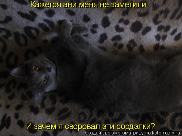 Кажется ани меня не заметили И зачем я своровал эти сордэлки?... Котоматрица: Кажется ани меня не заметили И зачем я своровал эти сордэлки?
