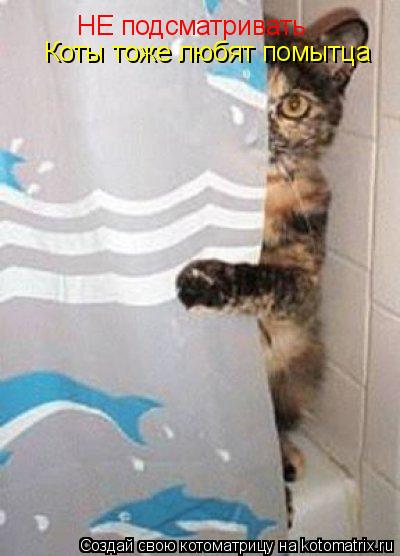 Котоматрица: НЕ подсматривать Коты тоже любят помытца