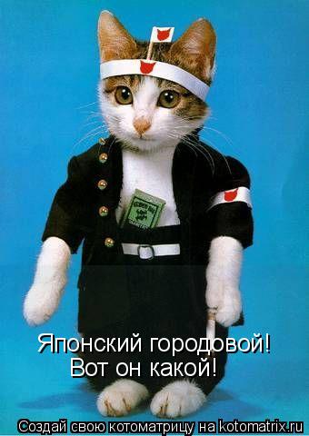 Японский городовой! Вот он какой!... Котоматрица: Японский городовой! Вот он какой!