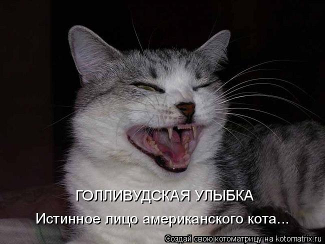Котоматрица: ГОЛЛИВУДСКАЯ УЛЫБКА Истинное лицо американского кота...