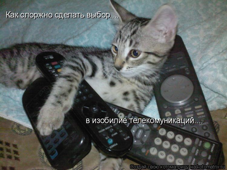 Котоматрица: Как слоржно сделать выбор.... в изобилие телекомуникаций....