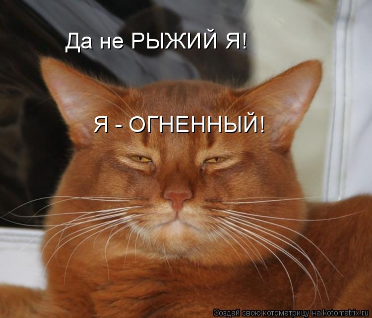 Котоматрица: Да не РЫЖИЙ Я! Я - ОГНЕННЫЙ!