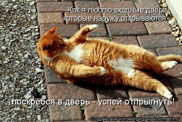 Котоматрица: -Как я люблю входные двери,  которые наружу открываются, поскрёбся в дверь - успей отпрыгнуть!