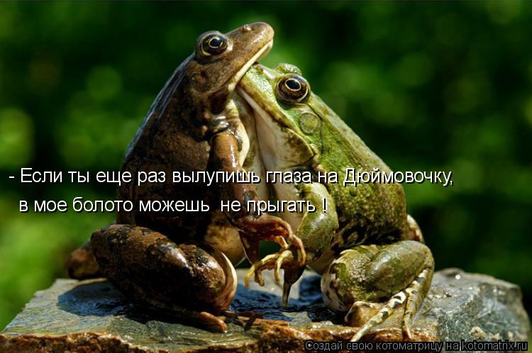 Котоматрица: - Если ты еще раз вылупишь глаза на Дюймовочку, в мое болото можешь  не прыгать !